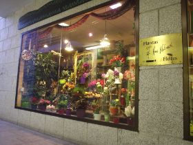 tienda moralzarzal.JPG